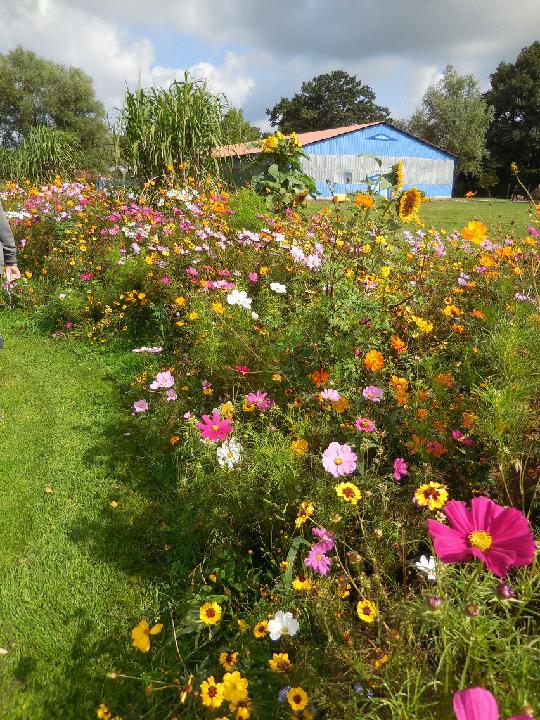 2016_08_26 hamburg 263.jpg